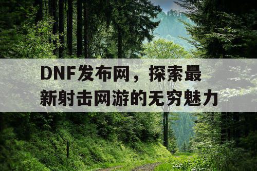 DNF发布网，探索最新射击网游的无穷魅力