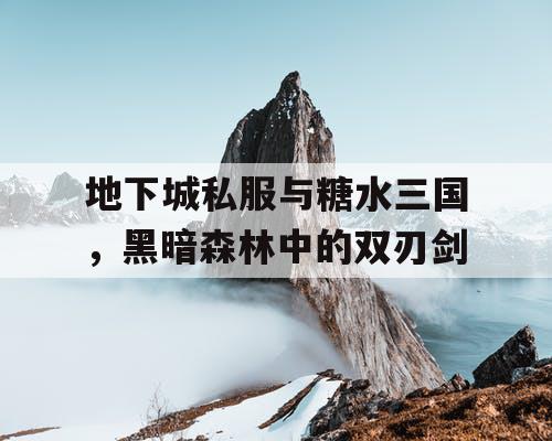 地下城私服与糖水三国，黑暗森林中的双刃剑