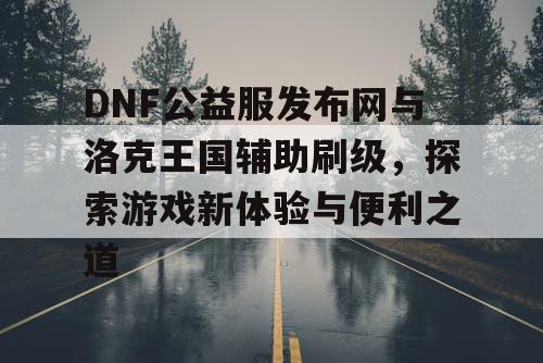 DNF公益服发布网与洛克王国辅助刷级，探索游戏新体验与便利之道