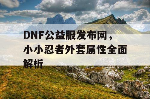 DNF公益服发布网，小小忍者外套属性全面解析