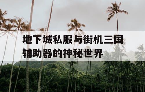 地下城私服与街机三国辅助器的神秘世界