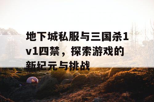 地下城私服与三国杀1v1四禁，探索游戏的新纪元与挑战