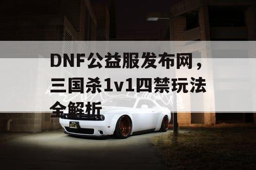 DNF公益服发布网，三国杀1v1四禁玩法全解析