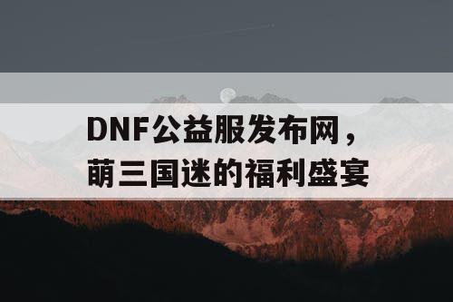 DNF公益服发布网，萌三国迷的福利盛宴