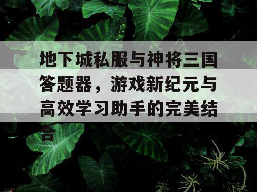 地下城私服与神将三国答题器，游戏新纪元与高效学习助手的完美结合