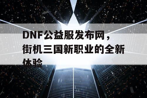 DNF公益服发布网，街机三国新职业的全新体验