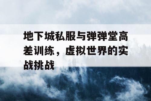 地下城私服与弹弹堂高差训练，虚拟世界的实战挑战