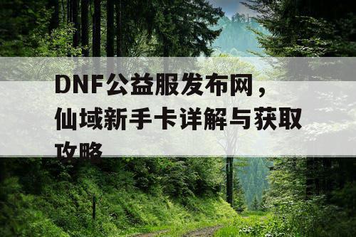 DNF公益服发布网，仙域新手卡详解与获取攻略