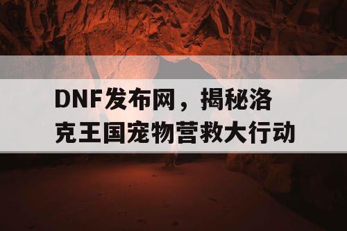 DNF发布网，揭秘洛克王国宠物营救大行动