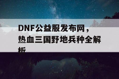 DNF公益服发布网，热血三国野地兵种全解析